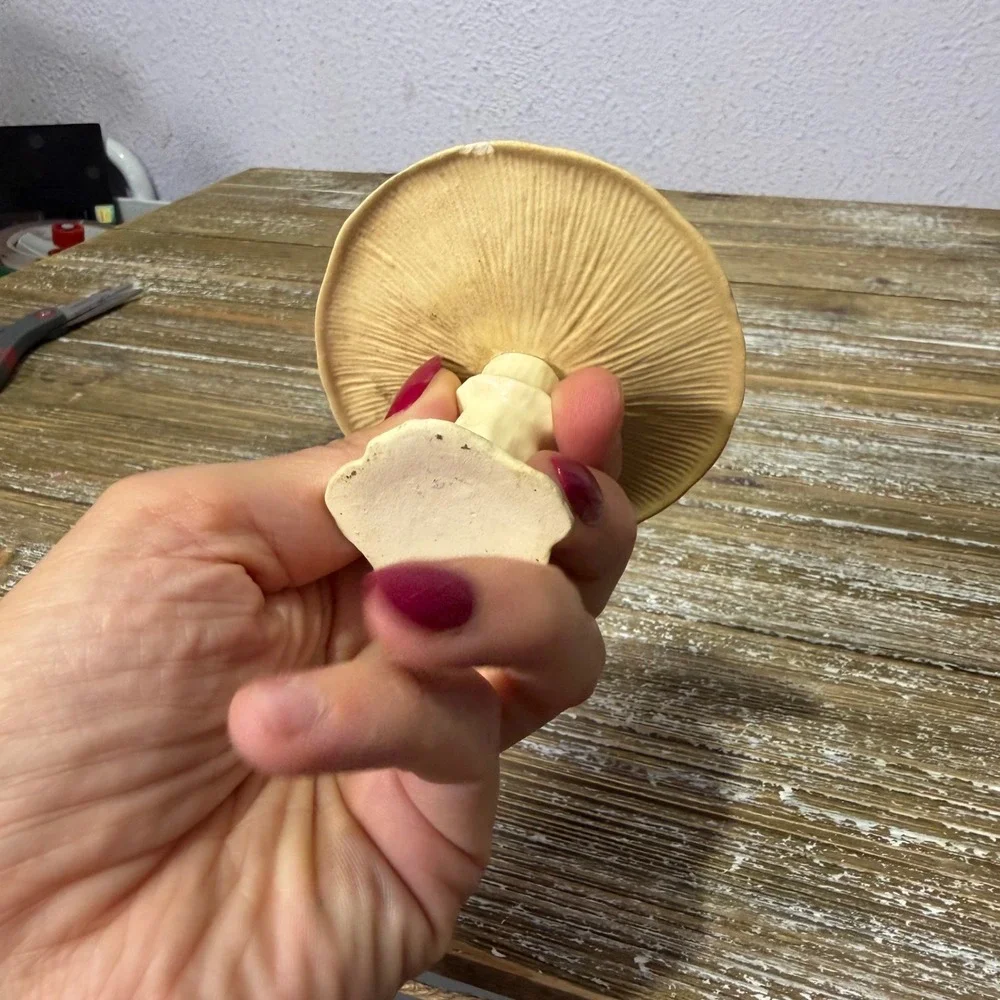 N/A vintage ceramic